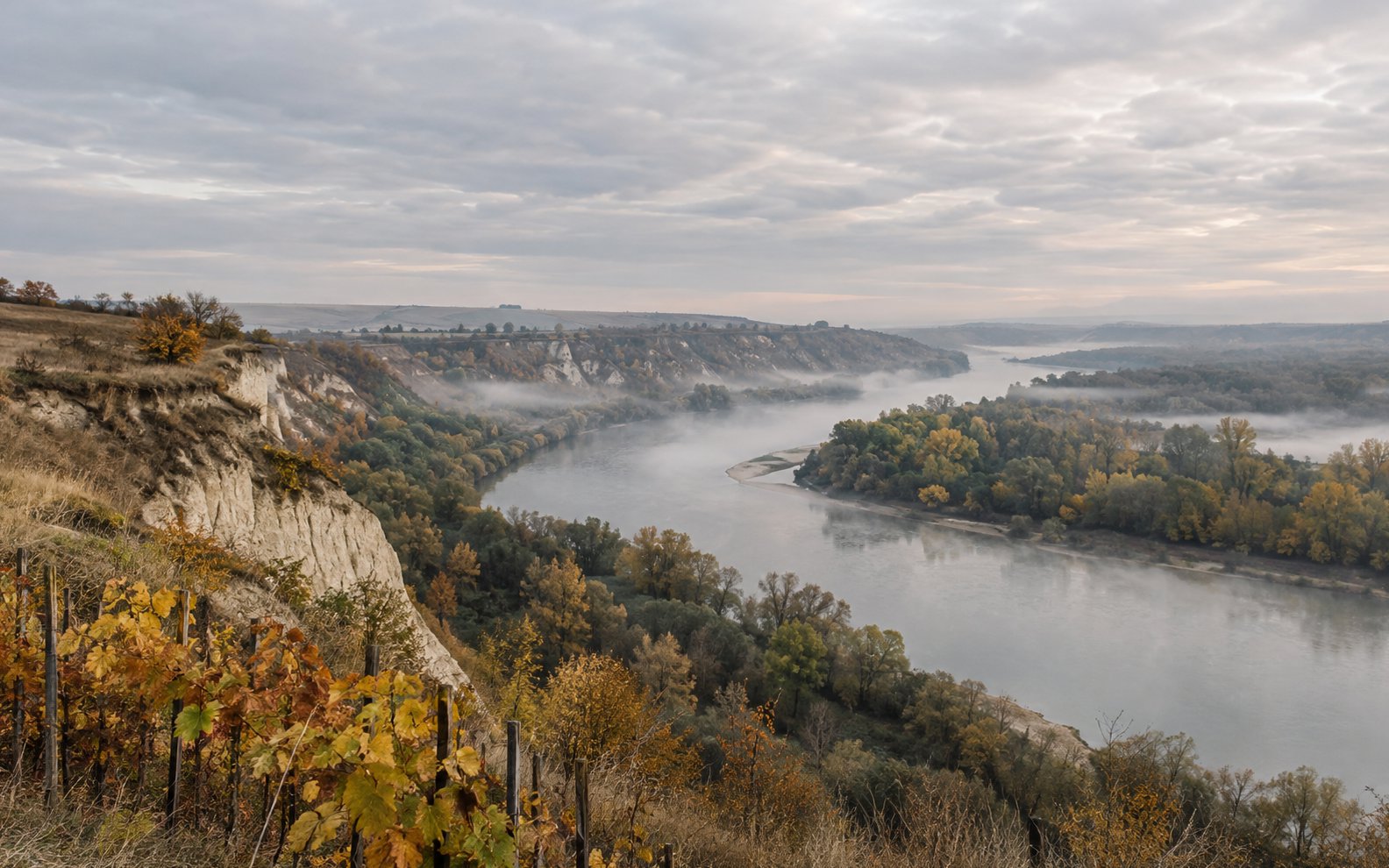 Autumn vines at a pale loess bluff overlook a wide river bend softened by mist.